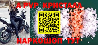 индика Камышлов