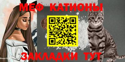 индика Камышлов