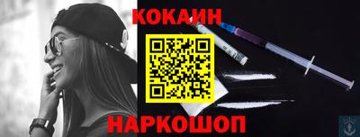 индика Камышлов