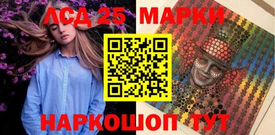 индика Камышлов