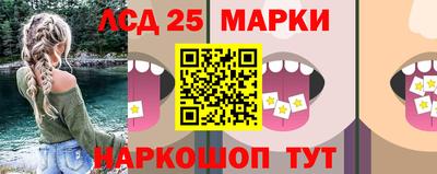 индика Камышлов