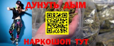 индика Камышлов