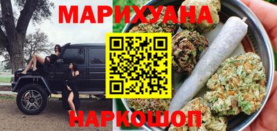 индика Камышлов