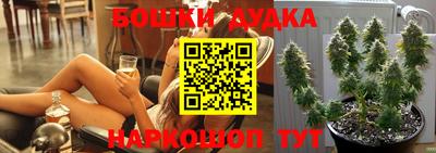 индика Камышлов