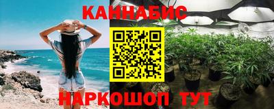 индика Камышлов