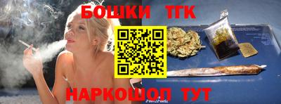 индика Камышлов