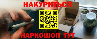 индика Камышлов